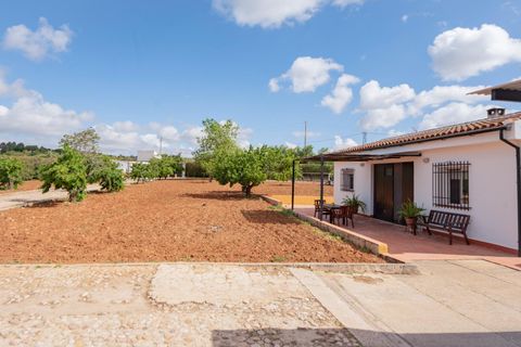 Villa i Villanueva Del Rosario, Malaga - foto 2