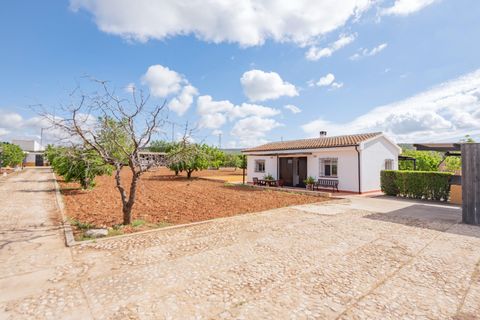Villa Villanueva Del Rosario, Malaga - foto 4