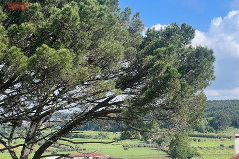 Villa i Anadia, Aveiro, Anadia - € 210.000 | Ref: 5566U - foto 3