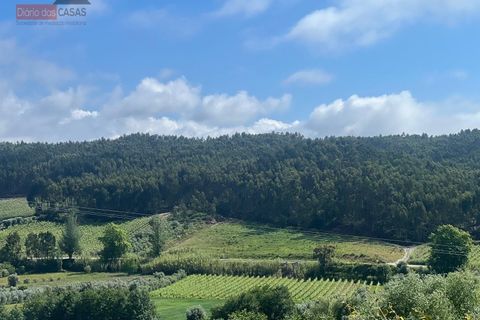 Villa i Anadia, Aveiro, Anadia - € 210.000 | Ref: 5566U - foto 4
