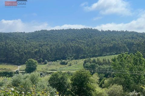 Villa i Anadia, Aveiro, Anadia - € 210.000 | Ref: 5566U - foto 5