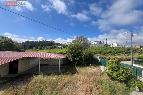 Villa i Anadia, Aveiro, Anadia - € 210.000 | Ref: 5566U - foto 11