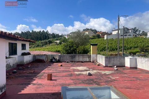 Villa i Anadia, Aveiro, Anadia - € 210.000 | Ref: 5566U - foto 16