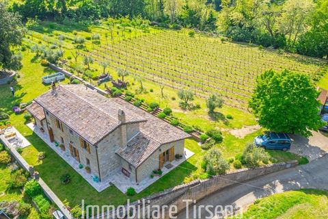 Farm hus i Orvieto, Terni, Orvieto - € 590.000 | Ref: CS559 - foto 4