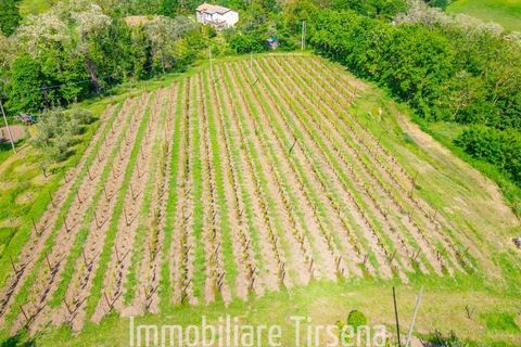 Farm hus i Orvieto, Terni, Orvieto - € 590.000 | Ref: CS559 - foto 10