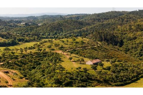 Landejendom i Odemira, Beja, Odemira - € 2.375.000 | Ref: #058 - foto 10