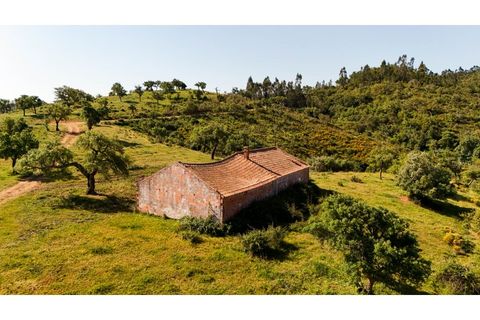 Landejendom i Odemira, Beja, Odemira - € 2.375.000 | Ref: #058 - foto 15