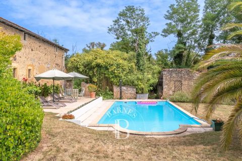 Landejendom i Saint-Sever, Landes, Saint-Sever - € 975.000 | Ref: M1868 - foto 25