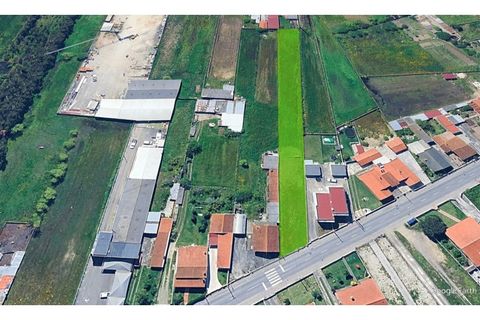 Helårsgrund i Estarreja, Aveiro, Estarreja - € 45.000 | Ref: 604 - foto 5