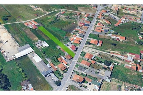 Helårsgrund i Estarreja, Aveiro, Estarreja - € 45.000 | Ref: 604 - foto 6