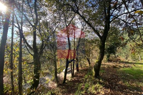 Byhus i Vila Verde, Braga, Vila Verde - € 172.000 | Ref: 08882 - foto 24