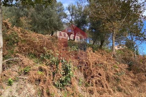 Byhus i Vila Verde, Braga, Vila Verde - € 172.000 | Ref: 08882 - foto 30