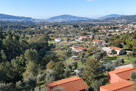Farm i Caminha, Viana do Castelo, Caminha - € 850.000 | Ref: 126201003-231 - foto 2