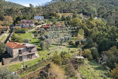Farm i Caminha, Viana do Castelo, Caminha - € 850.000 | Ref: 126201003-231 - foto 4
