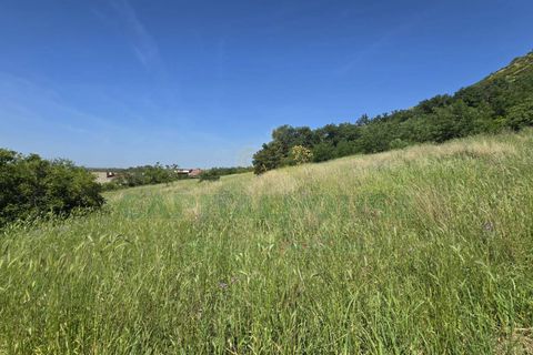 Helårsgrund i Maddaloni, Caserta, Maddaloni - € 230.000 | Ref: 230TE - foto 6