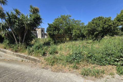 Helårsgrund i Maddaloni, Caserta, Maddaloni - € 230.000 | Ref: 230TE - foto 9