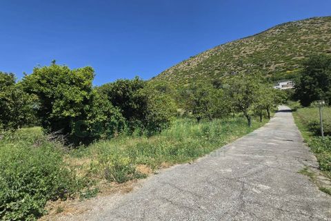 Helårsgrund i Maddaloni, Caserta, Maddaloni - € 230.000 | Ref: 230TE - foto 12