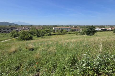 Helårsgrund i Maddaloni, Caserta, Maddaloni - € 230.000 | Ref: 230TE - foto 13