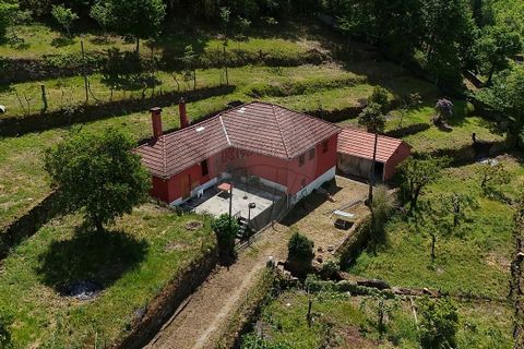 Villa i Cabeceiras de Basto, Braga, Cabeceiras de Basto - € 140.000 | Ref: 121751336-16 - foto 12