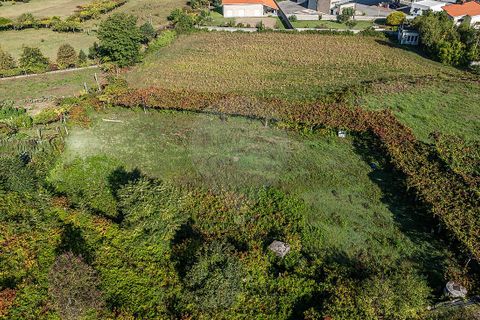 Helårsgrund i Guimaraes, Braga, Guimaraes - € 290.000 | Ref: 123331090-113 - foto 22
