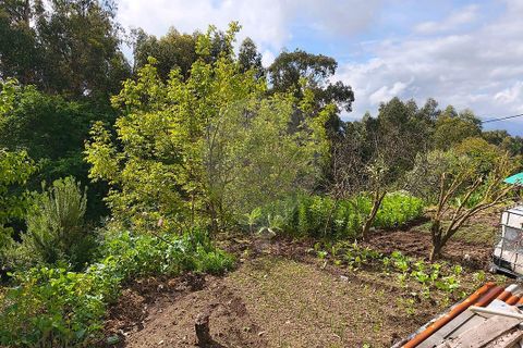 Villa i Ponte de Lima, Viana do Castelo, Ponte de Lima - € 290.000 | Ref: 123731039-22 - foto 21