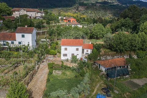 Villa i Celorico de Basto, Braga, Celorico de Basto - € 169.500 | Ref: 126221008-461 - foto 5