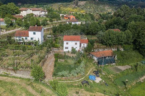 Villa i Celorico de Basto, Braga, Celorico de Basto - € 169.500 | Ref: 126221008-461 - foto 7