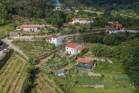 Villa i Celorico de Basto, Braga, Celorico de Basto - € 169.500 | Ref: 126221008-461 - foto 8