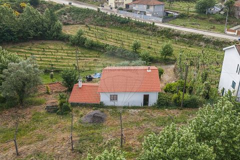 Villa i Celorico de Basto, Braga, Celorico de Basto - € 169.500 | Ref: 126221008-461 - foto 10