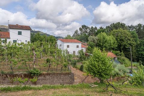 Villa i Celorico de Basto, Braga, Celorico de Basto - € 169.500 | Ref: 126221008-461 - foto 12