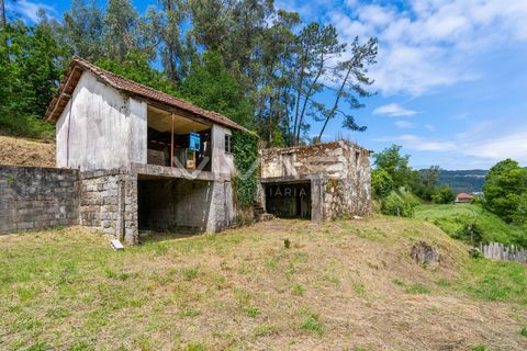 Villa i Vila Verde, Braga, Vila Verde - € 95.000 | Ref: 01-3831 - foto 1