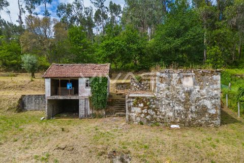 Villa i Vila Verde, Braga, Vila Verde - € 95.000 | Ref: 01-3831 - foto 5
