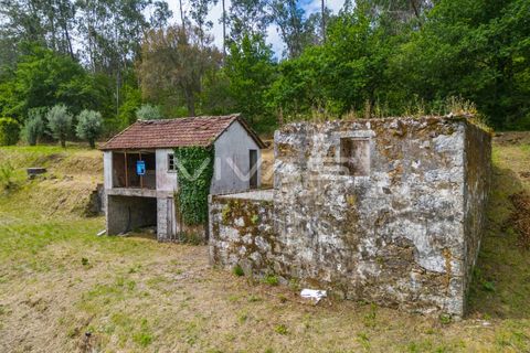 Villa i Vila Verde, Braga, Vila Verde - € 95.000 | Ref: 01-3831 - foto 6