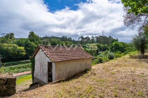 Villa i Vila Verde, Braga, Vila Verde - € 95.000 | Ref: 01-3831 - foto 9