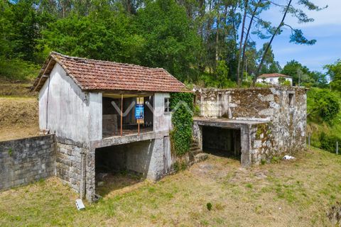 Villa i Vila Verde, Braga, Vila Verde - € 95.000 | Ref: 01-3831 - foto 13