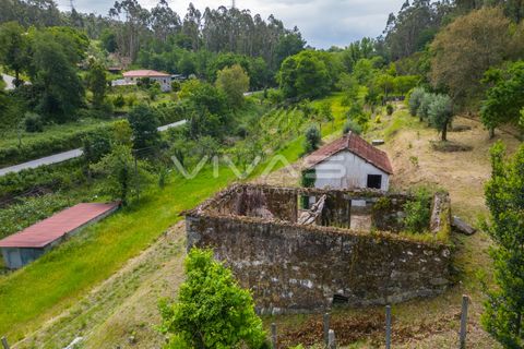 Villa i Vila Verde, Braga, Vila Verde - € 95.000 | Ref: 01-3831 - foto 14