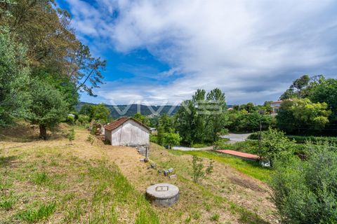Villa i Vila Verde, Braga, Vila Verde - € 95.000 | Ref: 01-3831 - foto 17