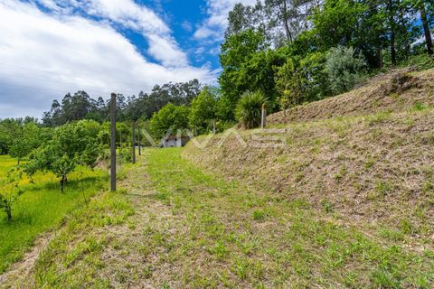 Villa i Vila Verde, Braga, Vila Verde - € 95.000 | Ref: 01-3831 - foto 18