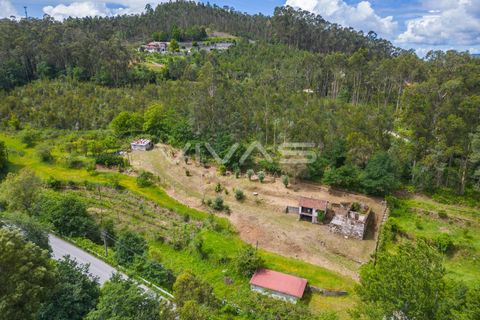 Villa i Vila Verde, Braga, Vila Verde - € 95.000 | Ref: 01-3831 - foto 23