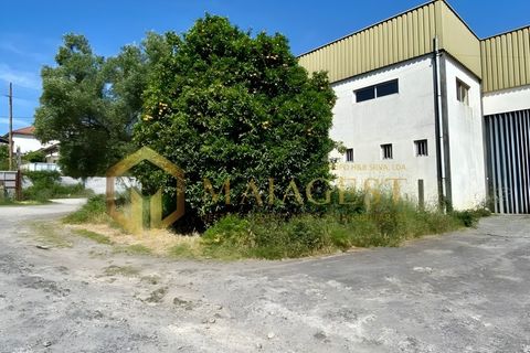 Erhvervsejendom i Valongo, Porto, Valongo - € 1.100.000 | Ref: sval_P260501 - foto 2