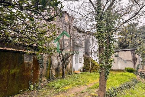 Farm i Covilha, Castelo Branco, Covilha - € 70.000 | Ref: DBJ1389/26 - foto 5
