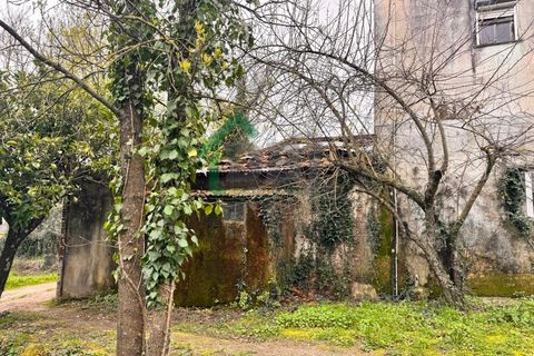 Farm i Covilha, Castelo Branco, Covilha - € 70.000 | Ref: DBJ1389/26 - foto 7