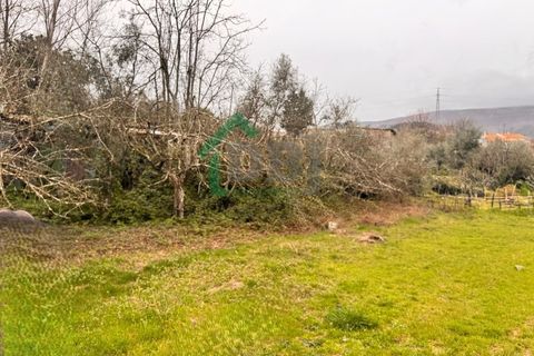 Farm i Covilha, Castelo Branco, Covilha - € 70.000 | Ref: DBJ1389/26 - foto 8