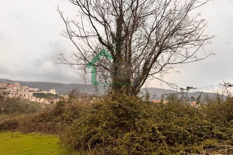 Farm i Covilha, Castelo Branco, Covilha - € 70.000 | Ref: DBJ1389/26 - foto 11