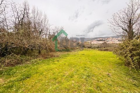 Farm i Covilha, Castelo Branco, Covilha - € 70.000 | Ref: DBJ1389/26 - foto 12