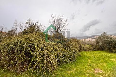 Farm i Covilha, Castelo Branco, Covilha - € 70.000 | Ref: DBJ1389/26 - foto 13