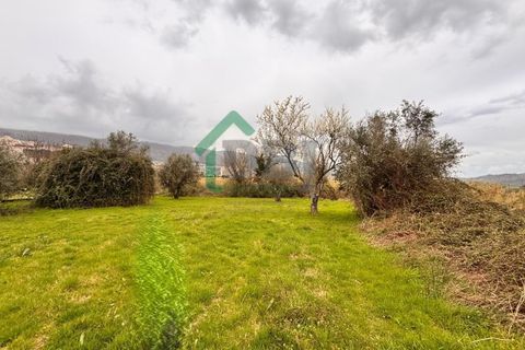 Farm i Covilha, Castelo Branco, Covilha - € 70.000 | Ref: DBJ1389/26 - foto 14