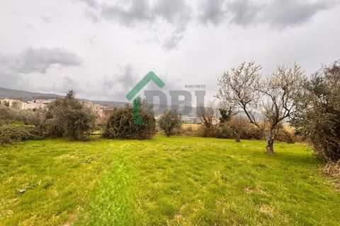 Farm i Covilha, Castelo Branco, Covilha - € 70.000 | Ref: DBJ1389/26 - foto 15