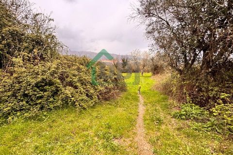 Farm i Covilha, Castelo Branco, Covilha - € 70.000 | Ref: DBJ1389/26 - foto 16