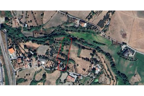 Farm i Covilha, Castelo Branco, Covilha - € 70.000 | Ref: DBJ1389/26 - foto 17